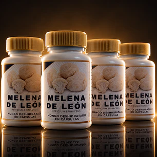 Pack Promocional - 4 Tarros de melena de leon x 60 Capsulas c/u - 240 capsulas en total+ OBSEQUIO
