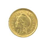 Moneda De Oro 10 Pesos Chile Año 1895