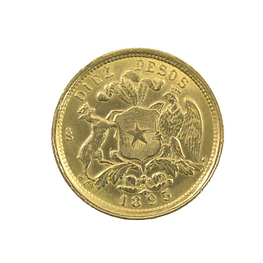 Moneda De Oro 10 Pesos Chile Año 1895