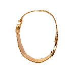 Reloj Renis Vintage 17 Rubis