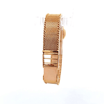 Reloj Renis Vintage 17 Rubis