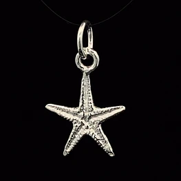 Colgante de Plata 925 Estrella de Mar
