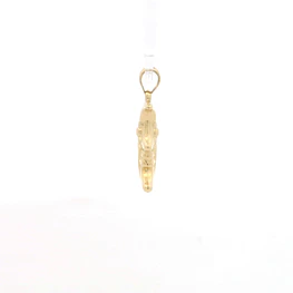 Colgante de Oro Amarillo 18K Cara de Luna