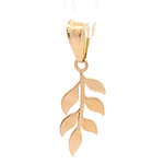 Colgante de Oro Amarillo 18K Rama de Olivo 
