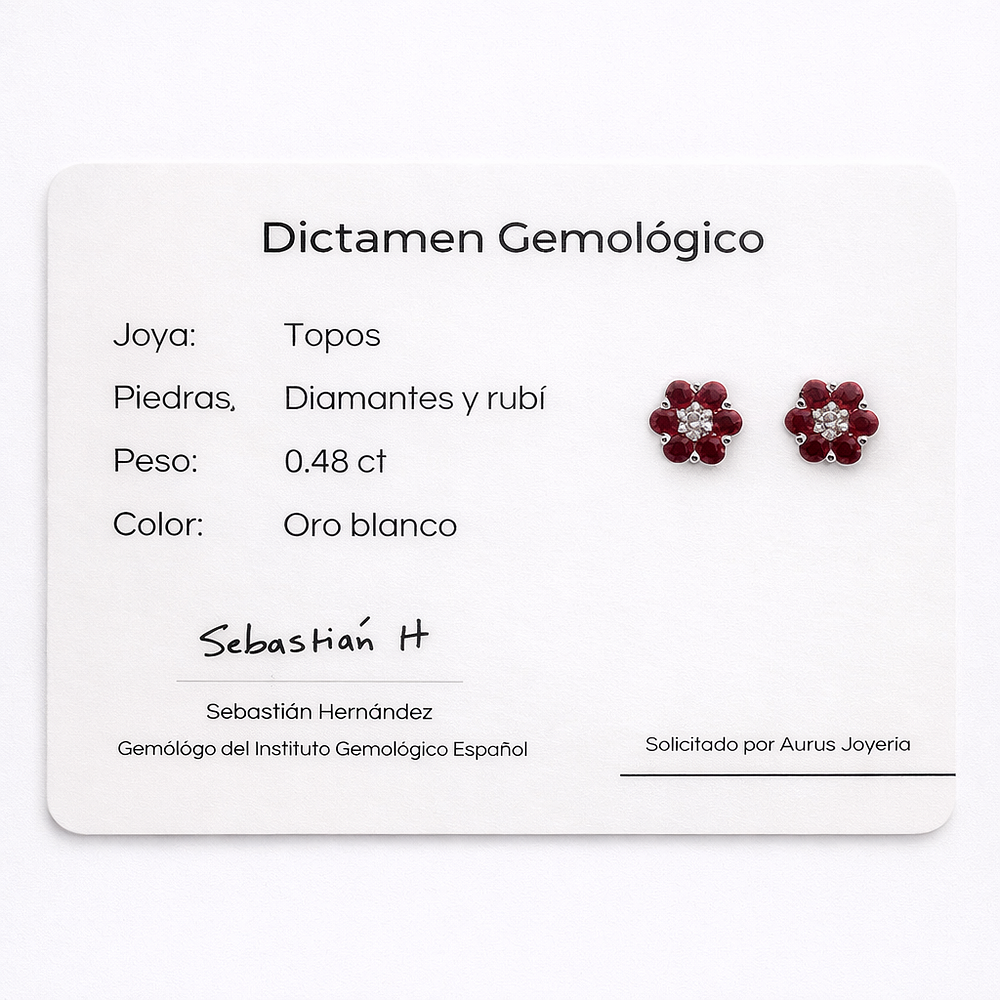 Aros De Oro Blanco 18K Flor Con Diamante Y Rubíes