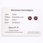 Aros De Oro Blanco 18K Flor Con Diamante Y Rubíes