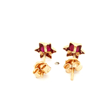 Aros De Oro Amarillo 18K Estrella Fucsia