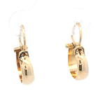 Aros de Oro Amarillo 18K Botes