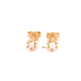Aros de Oro Amarillo 18K Pistilos