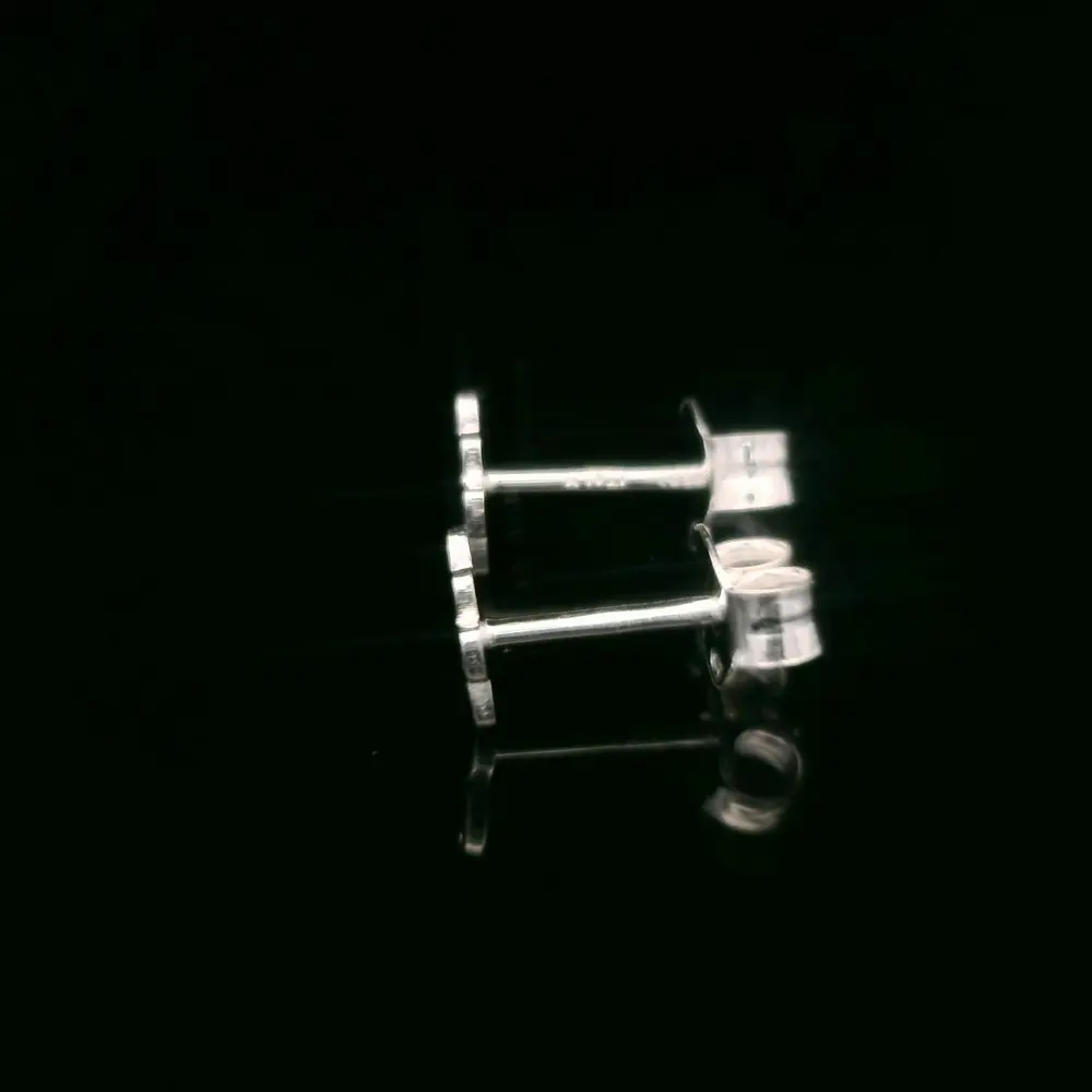 Aros de Plata Huella de Perro