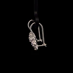 Aros de Plata Lady Di en Flor con Circón