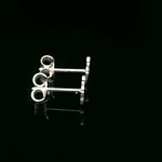 Aros de Plata Huella de Perro