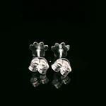 Aros de Plata Huella de Perro