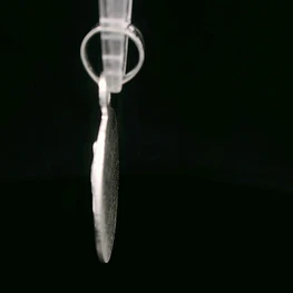 Colgante de Plata Medalla Redonda