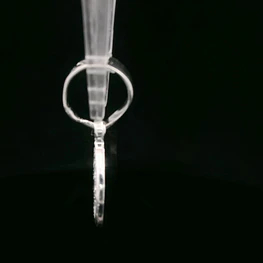 Colgante de Plata San Benito