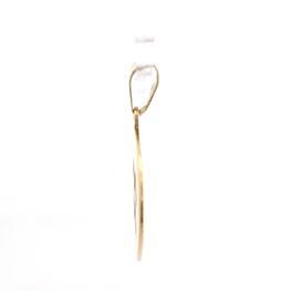 Colgante Circular Acuario de Oro 18K Mateado