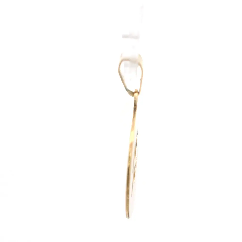 Colgante Circular Acuario de Oro 18K Mateado