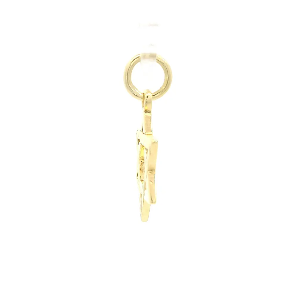 Colgante Estrella de David de Oro Amarillo 18K