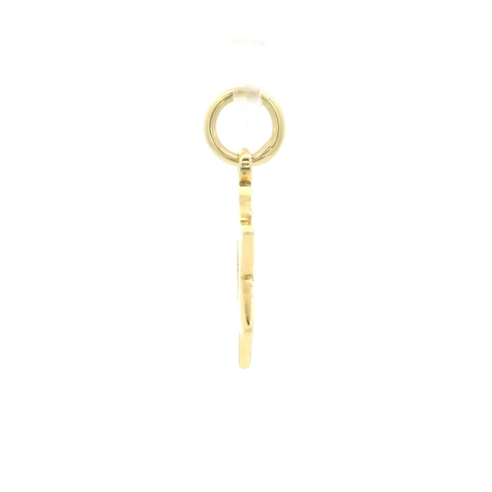 Colgante Estrella de David de Oro Amarillo 18K