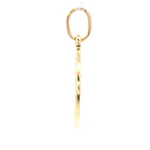 Colgante Medalla Estrella de David de Oro Amarillo 18K