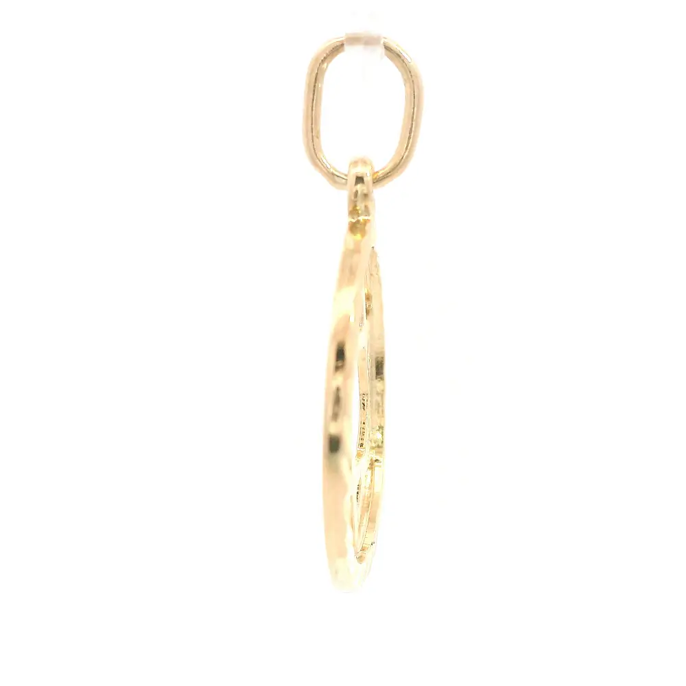 Colgante Medalla Estrella de David de Oro Amarillo 18K