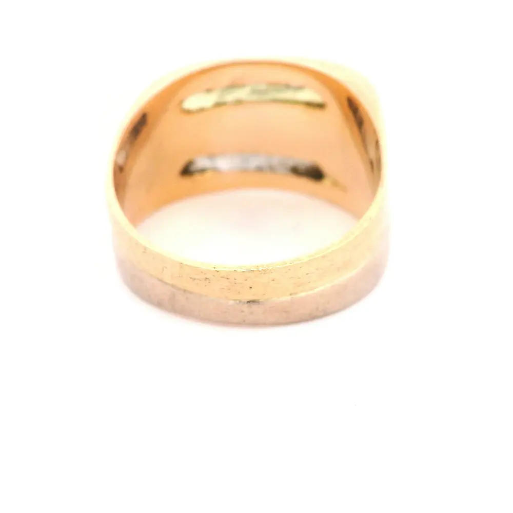 Anillo Doble Cintillo Mateado De Dos Oros 18K Con 14 Diamantes