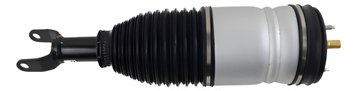 Amortiguador Derecho Delantero Dodge Ram 1500 1