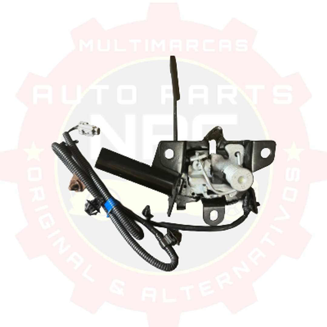 CHAPA DE CAPOT ORIGINAL SUBARU EVOLTIS 2