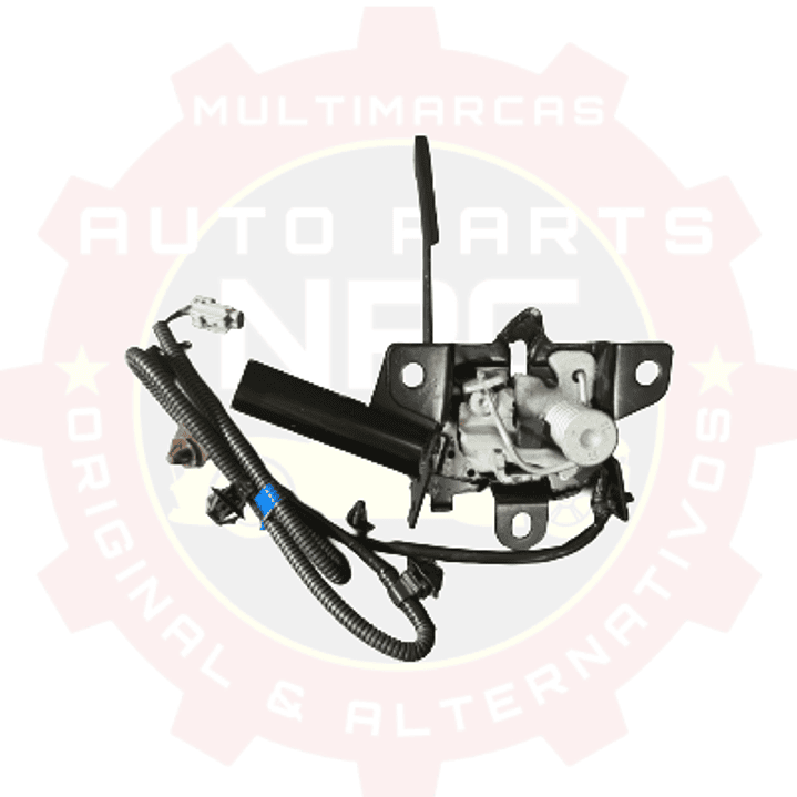 CHAPA DE CAPOT ORIGINAL SUBARU EVOLTIS 2