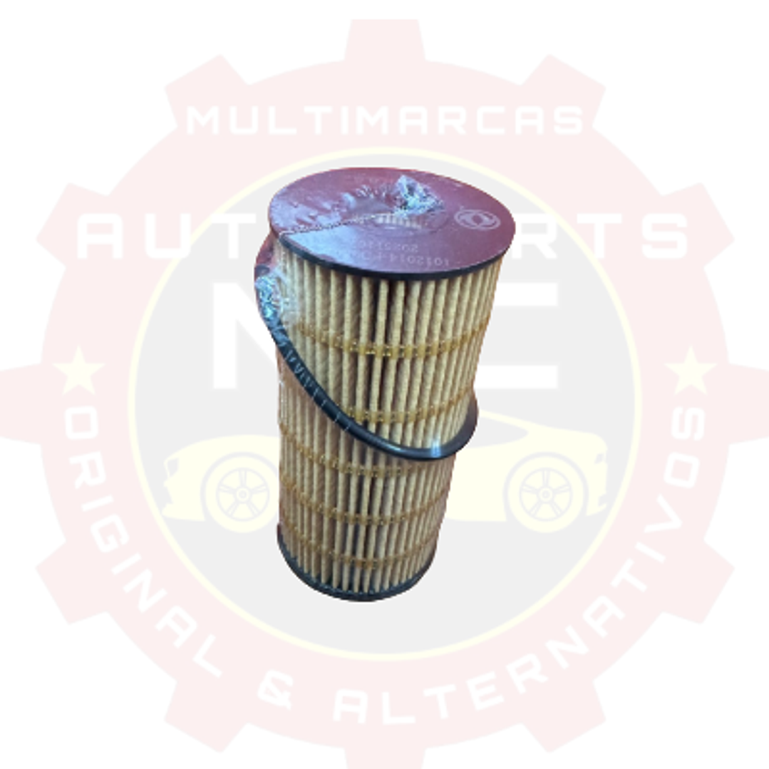 FILTRO ACEITE ORIGINAL DFSK D1 1