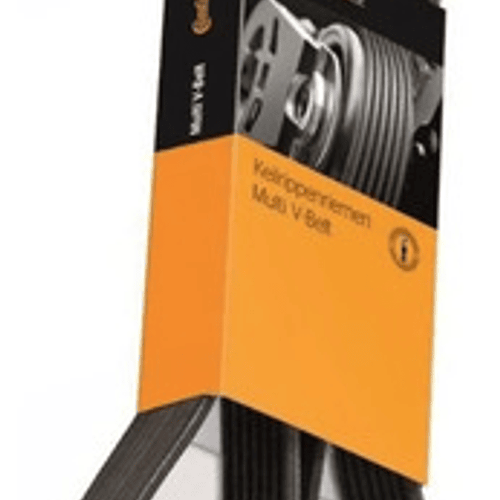 Correa De Alternador Para Kia Morning 1.2 2012 2018 5pk-890 1