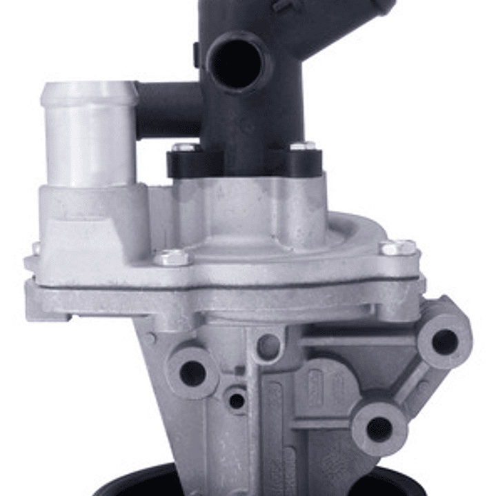 Bomba Agua Ford Ranger 3200 P5at T32dd0p Dohc 5 Cyl 3.2 2015 1