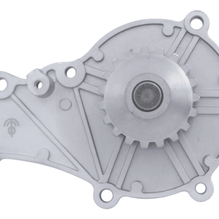 Bomba Agua Peugeot 301 - Partner - Citroen C-elysee Berlingo 2