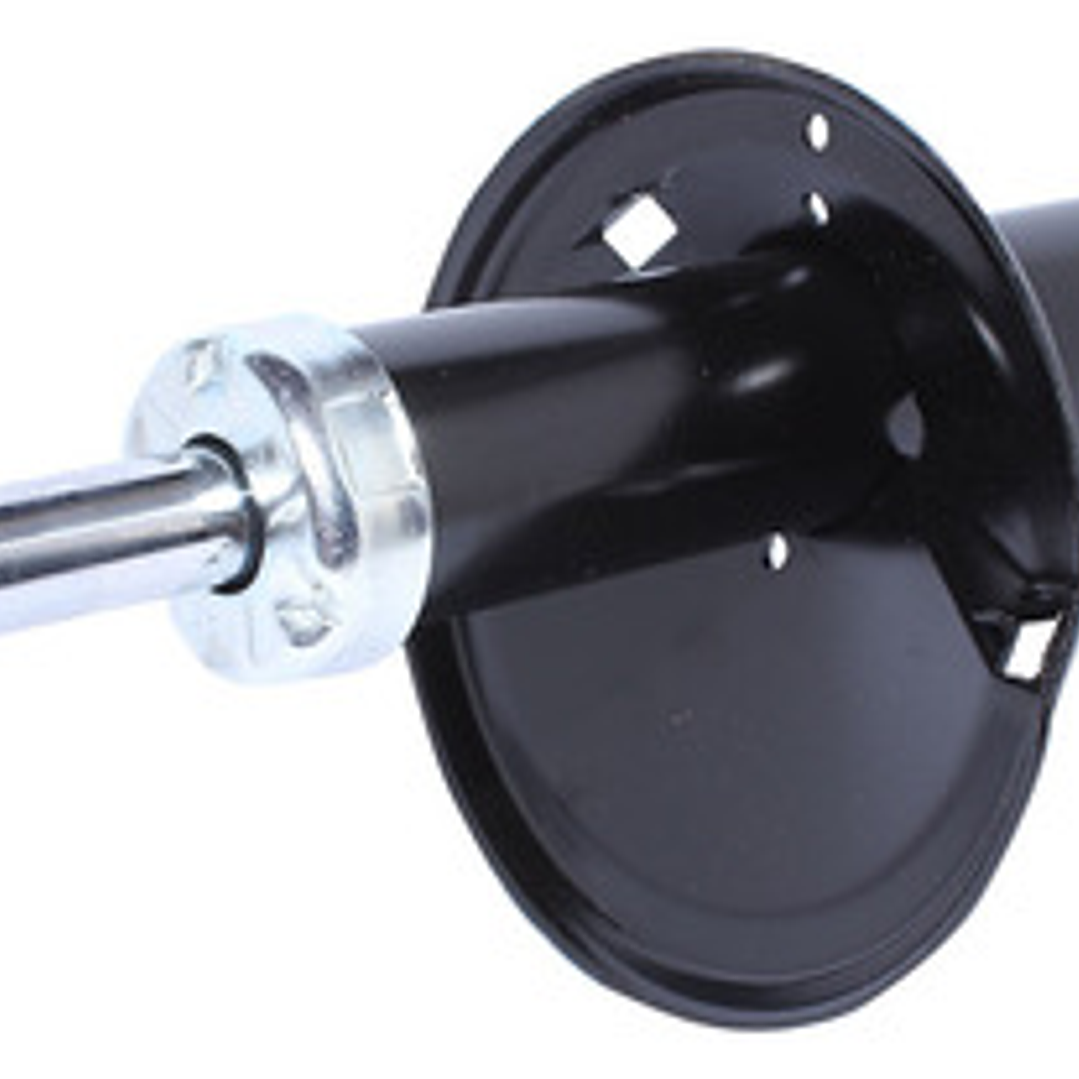 Amortiguador Delant De Renault Logan-sandero K4m 08-14(par) 3