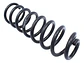 Resorte Espiral Trasero Para Renault Logan 1.6 08/12 Par - Miniatura 2
