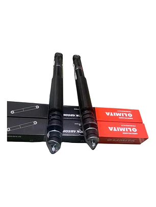 Amortiguador Trasero Para Renault Logan-sandero 08-14( Par )