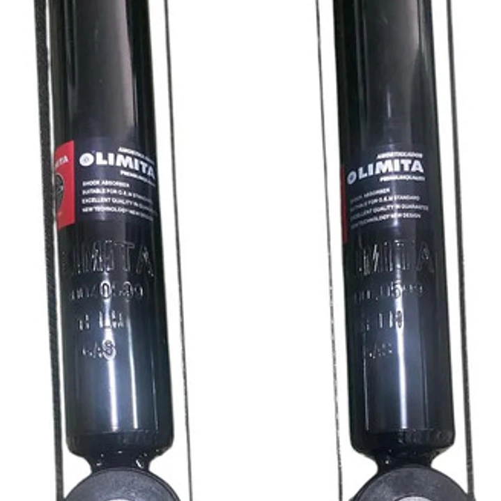 Amortiguador Trasero Para Renault Logan-sandero 08-14( Par ) 3