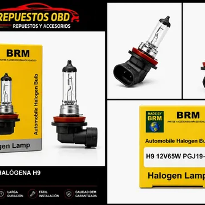 Ampolleta Brm H9 12v 35w Pipa 3