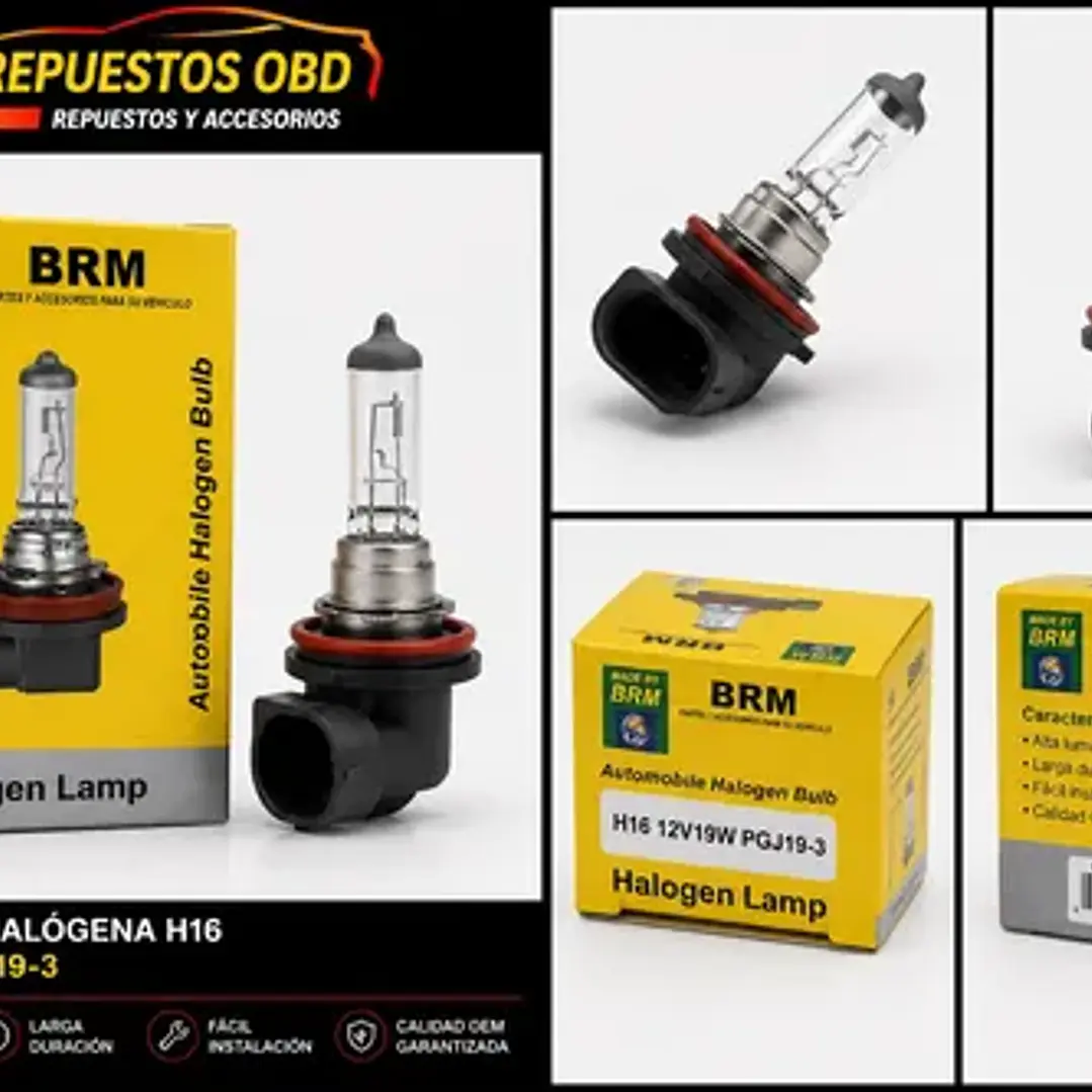 Ampolleta Brm H16 12v 19w Pipa 4