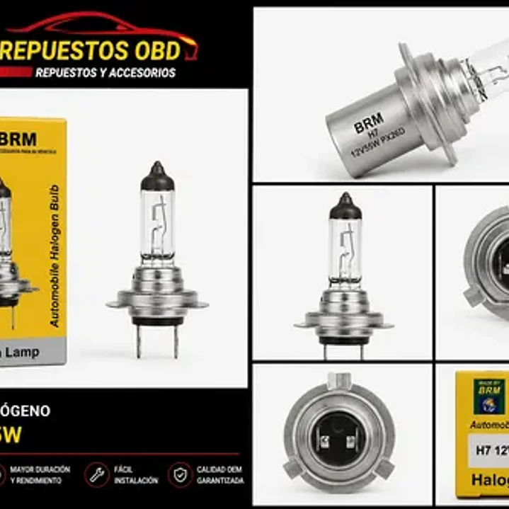 Ampolleta Brm 12v H7 55w 5