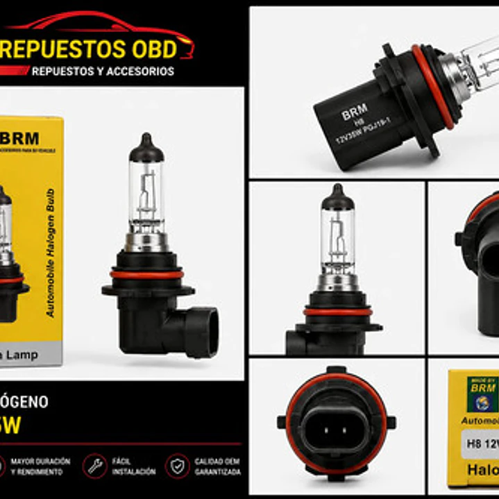 Ampolleta Brm H8 12v 35w Pipa 3