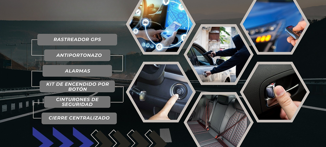 Seguridad Vehícular