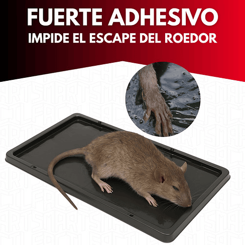 Trampa Pegajosa Ratón 2 Unidades Ratas Roedores Repelente 4