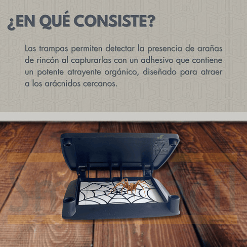 Trampa Pegajosa Araña De Rincón 20 Unid. Insective + 5 Bases 3