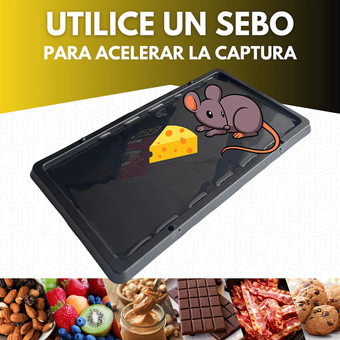 Trampa Pegajosa Ratón 6 Unidades Ratas Roedores Repelente 3