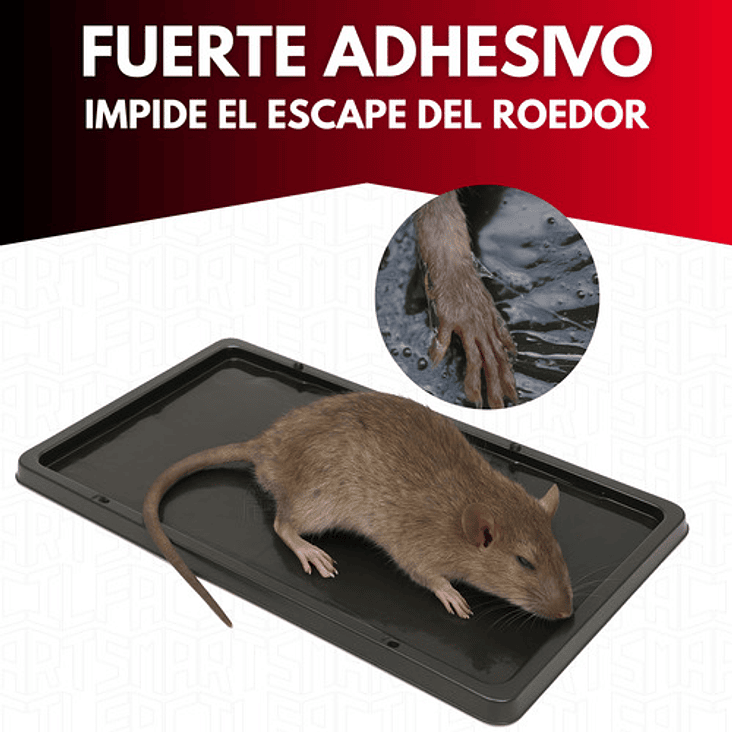 Trampa Pegajosa Ratón 6 Unidades Ratas Roedores Repelente 4