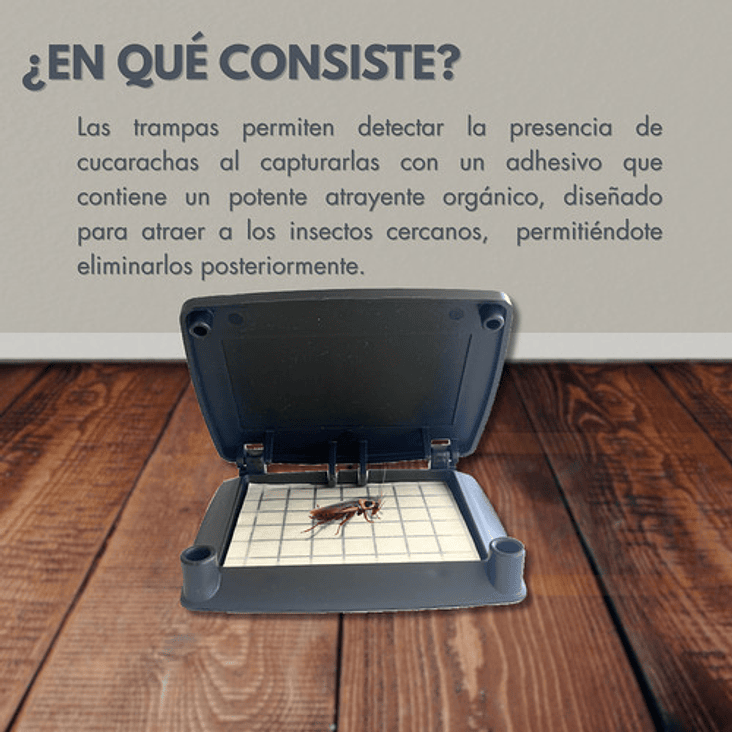 Trampas Adhesivas Cucarachas 20 Láminas Insective + 2 Bases 3