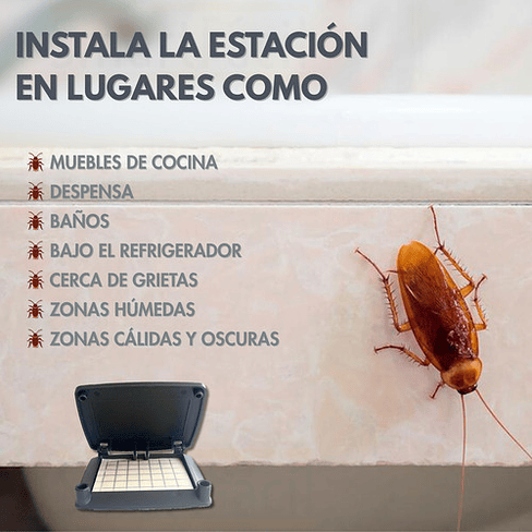 Trampas Adhesivas Cucarachas 20 Láminas Insective + 2 Bases 4
