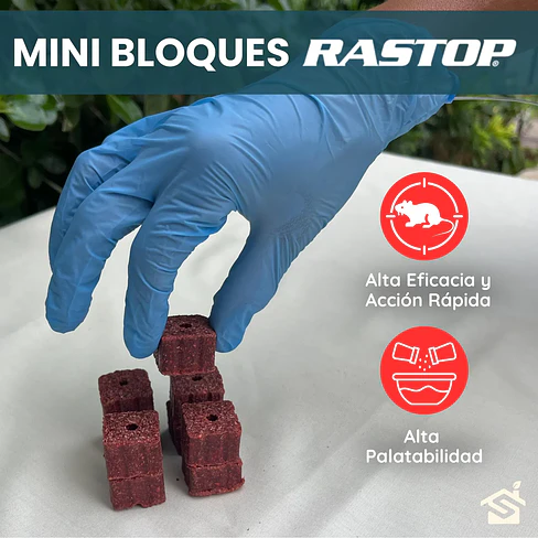 Kit Trampa Ratón 10 Tubos Cebaderos + 250 Gr. Bloque Rastop + Alambre 5