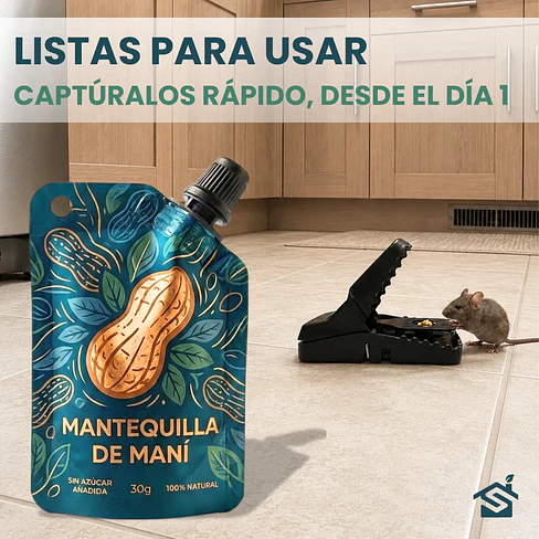 Trampas Rata Raton T-rex Grande De Golpe Pack 5u + Cebo Mantequilla Maní 3